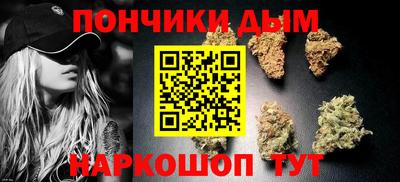 прущие грибы Канаш